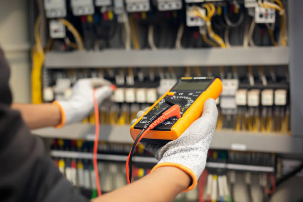 Best Electrical Panel Upgrades  in Charles City, IA